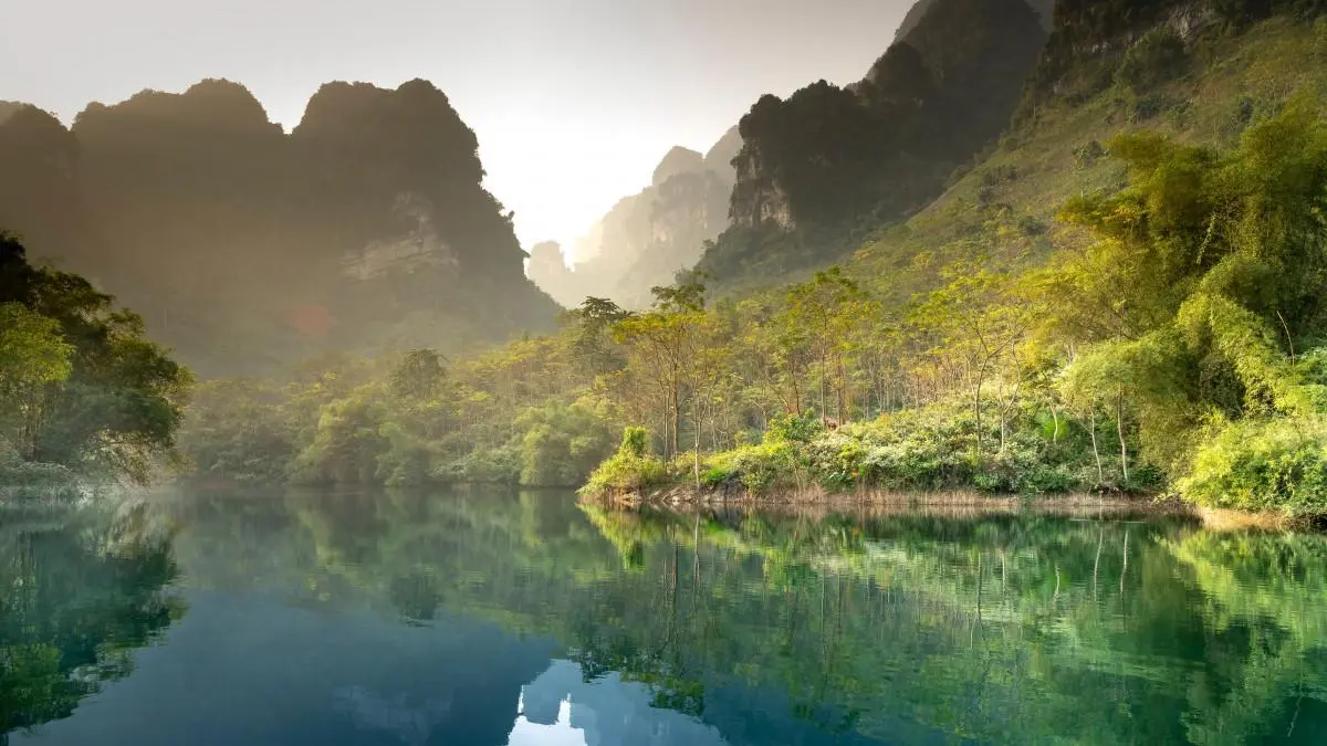 高标准高端绿色